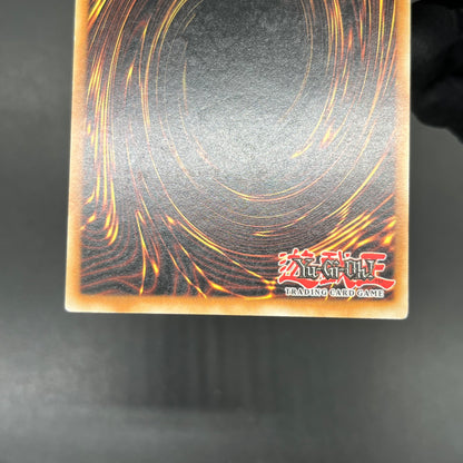遊戯王　伝説の黒帯/レリーフ/イタリア語/1st/EU版