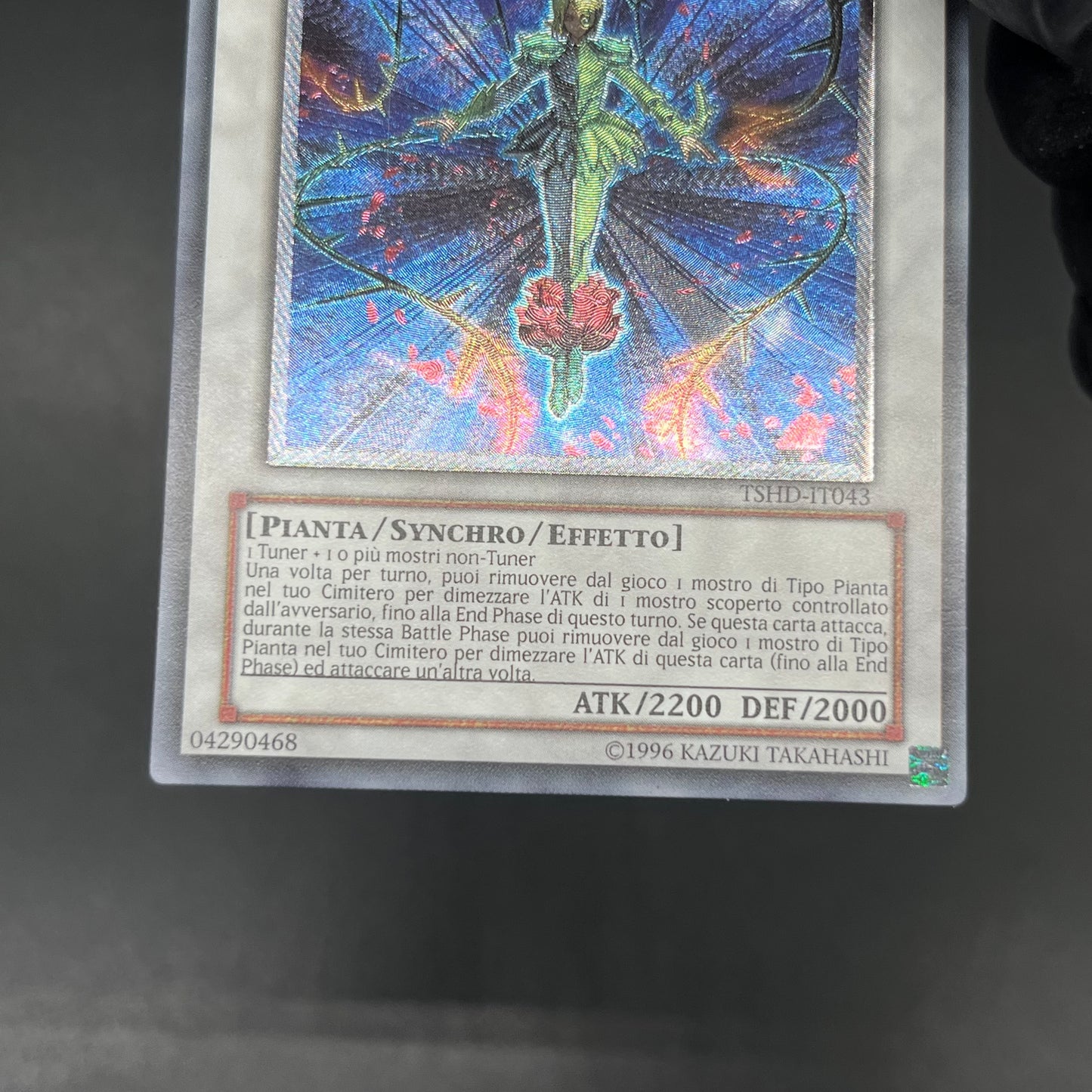 遊戯王　スプレンディッド・ローズ/レリーフ/イタリア語/EU版