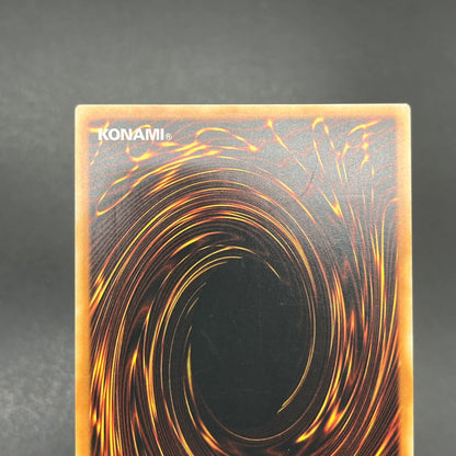 遊戯王　暴走する魔力/レリーフ/ドイツ/1st/EU版