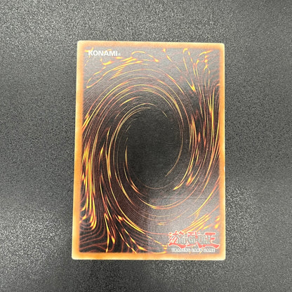 遊戯王　デーモン・カオス・キング/レリーフ/スペイン/EU版