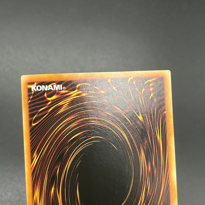 遊戯王　オッドアイズ・ペンデュラム・ドラゴン/レリーフ/ドイツ語/1st/EU版