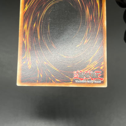 遊戯王　雲魔物－アイ・オブ・ザ・タイフーン/レリーフ/ドイツ/1st/EU版