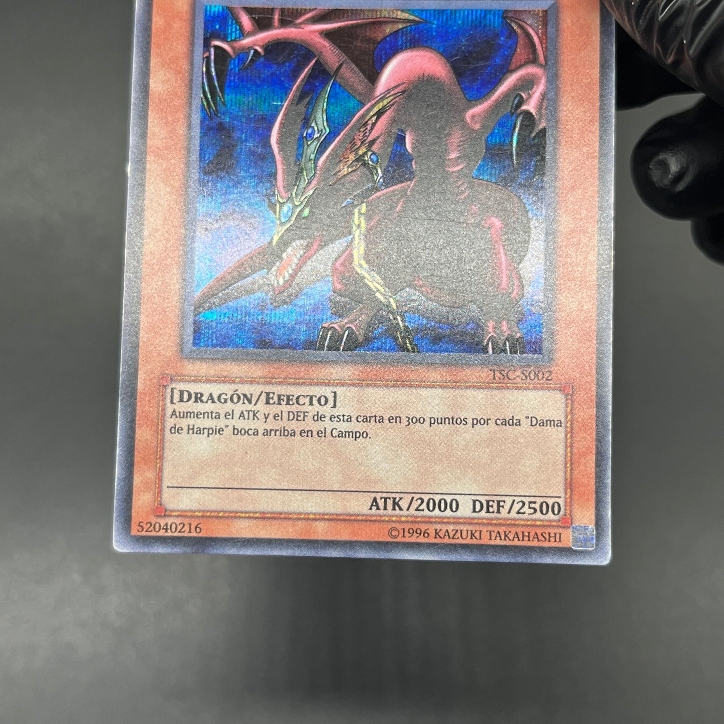 遊戯王　ハーピィズペット竜/シークレット/スペイン語/EU版