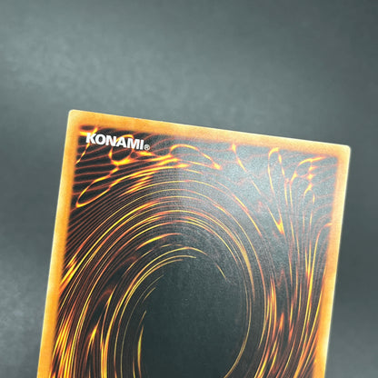 遊戯王　暴走する魔力/レリーフ/ドイツ/EU版