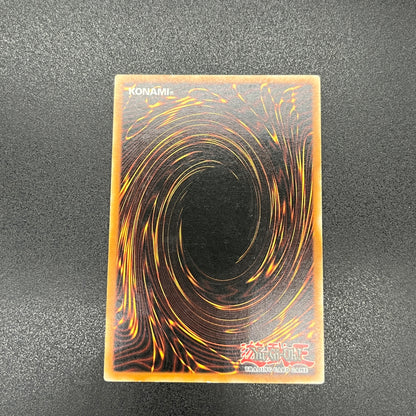 遊戯王　正統なる血統/レリーフ/イタリア語/1st/EU版