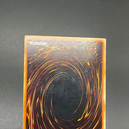 遊戯王　ハーピィズペット竜/シークレット/スペイン語/EU版