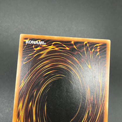 遊戯王　異次元の落とし穴/レリーフ/ドイツ語/EU版