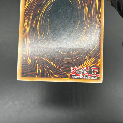 遊戯王　セイヴァー・デモン・ドラゴン/レリーフ/英語/北米版