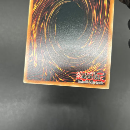 遊戯王　トライホーン・ドラゴン/シークレット/英語/EU版