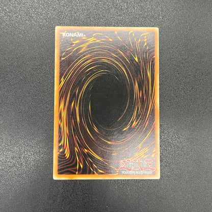 遊戯王　正統なる血統/レリーフ/ドイツ語/1st/EU版