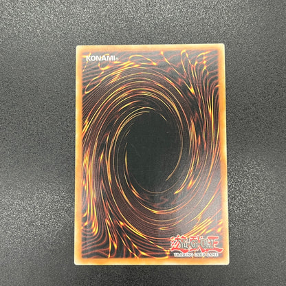 遊戯王　暴走する魔力/レリーフ/ドイツ/1st/EU版