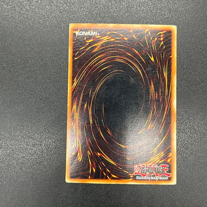 遊戯王　ハーピィズペット竜/シークレット/スペイン語/EU版