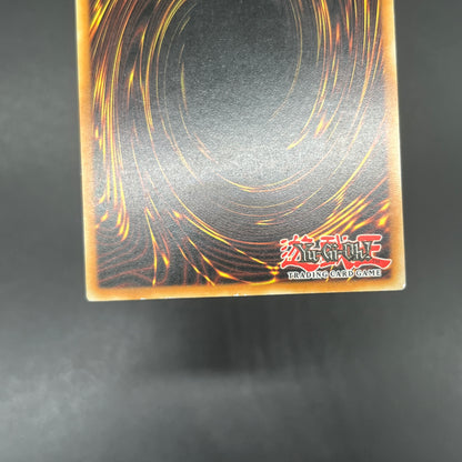 遊戯王　大将軍 紫炎/レリーフ/ドイツ/1st/EU版