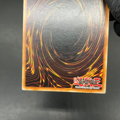 遊戯王　ヘルカイザー・ドラゴン/レリーフ/ドイツ/EU版