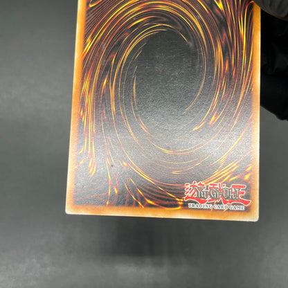 遊戯王　お家おとりつぶし/レリーフ/イタリア/1st/EU版