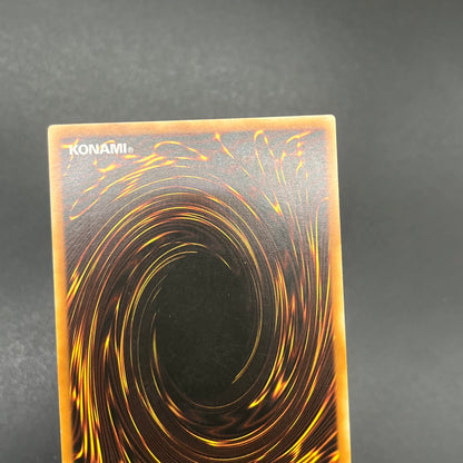 遊戯王　モンタージュ・ドラゴン/レリーフ/イタリア語/EU版