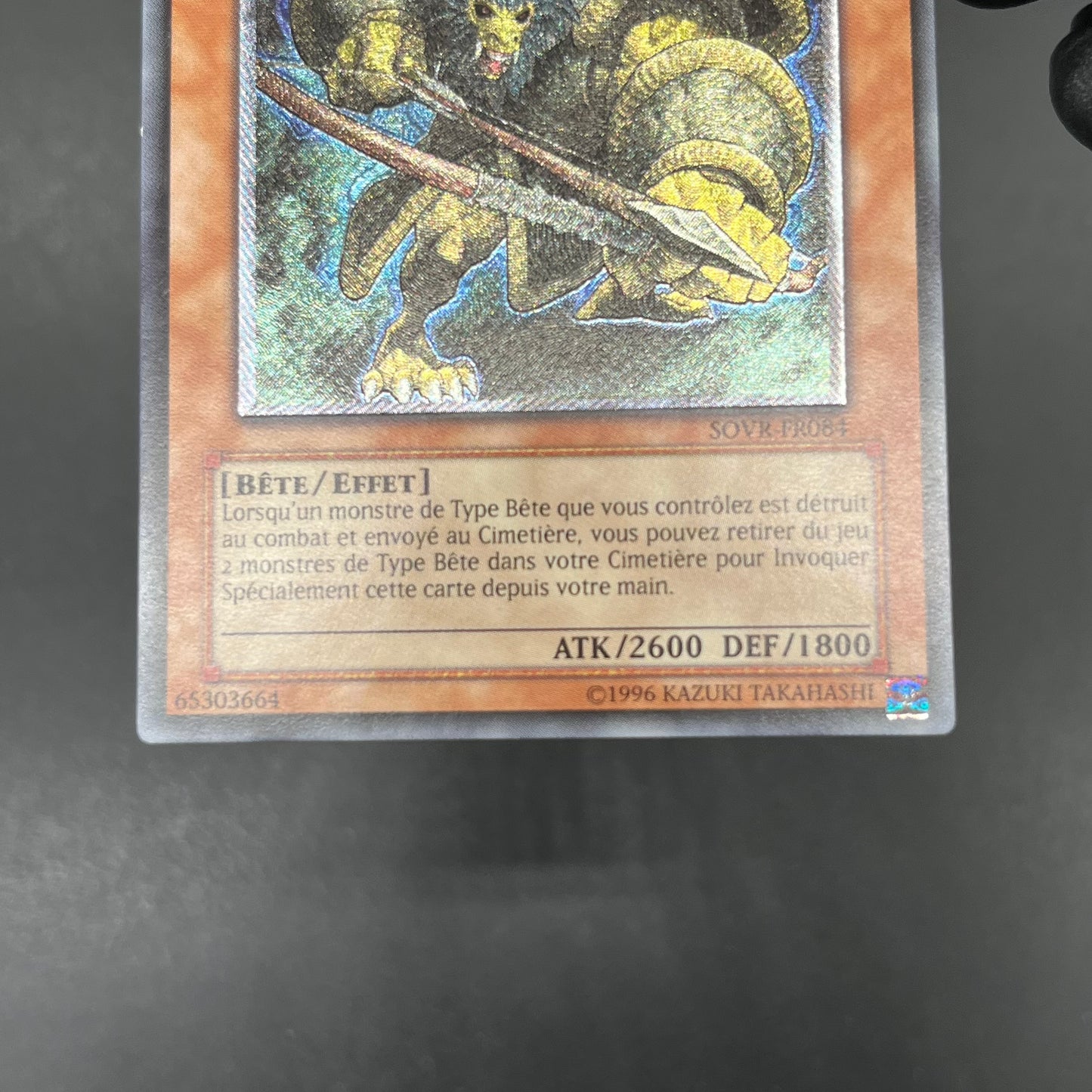 遊戯王　森の狩人イエロー・バブーン/レリーフ/フランス語/EU版