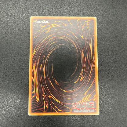 遊戯王　剣闘獣トラケス/レリーフ/ドイツ語/EU版