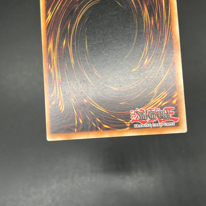 遊戯王　ヘルカイザー・ドラゴン/レリーフ/ドイツ/1st/EU版