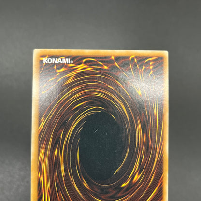 遊戯王　セイヴァー・デモン・ドラゴン/レリーフ/英語/北米版