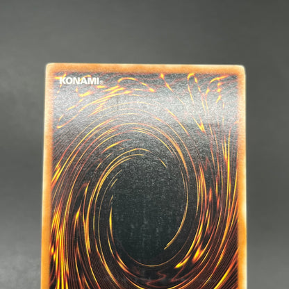 遊戯王　月の女戦士/レリーフ/ドイツ語