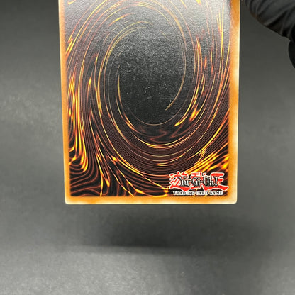 遊戯王　ミドル・シールド・ガードナー/レリーフ/ドイツ/1st/EU版