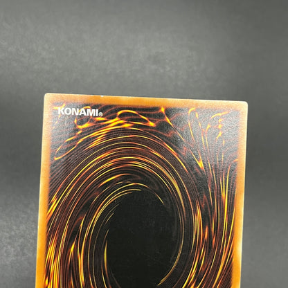 遊戯王　正統なる血統/レリーフ/イタリア語/1st/EU版