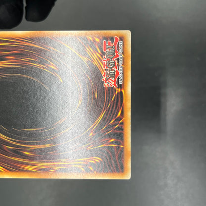 遊戯王　ファイヤー・ウォール/レリーフ/ドイツ語/EU版