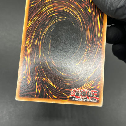 遊戯王　お家おとりつぶし/レリーフ/イタリア/1st/EU版