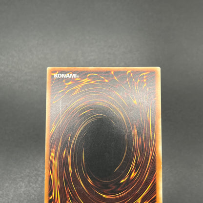 遊戯王　ヘルカイザー・ドラゴン/レリーフ/ドイツ/1st/EU版