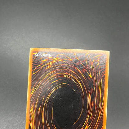 遊戯王　ホーリー・ナイト・ドラゴン/シークレット/英語