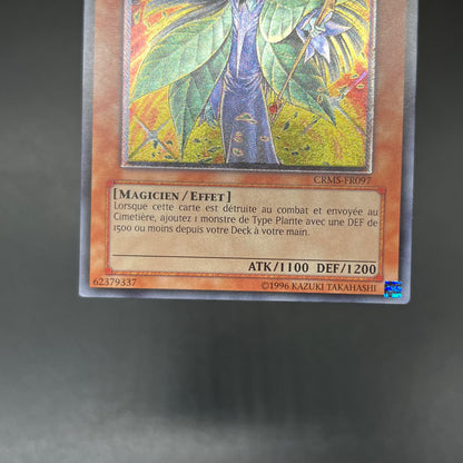 遊戯王　バイオレット・ウィッチ/レリーフ/フランス/EU版