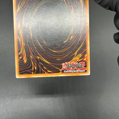 遊戯王　ヒーロー・メダル/レリーフ/ドイツ/1st/EU版