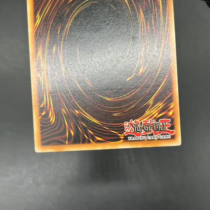 遊戯王　剣聖－ネイキッド・ギア・フリード/レリーフ/ドイツ語/EU版