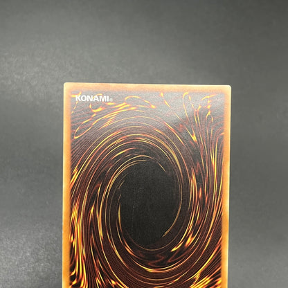 遊戯王　デーモン・カオス・キング/レリーフ/イタリア/EU版