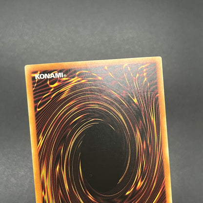 遊戯王　オッドアイズ・ペンデュラム・ドラゴン/レリーフ/ドイツ語/1st/EU版