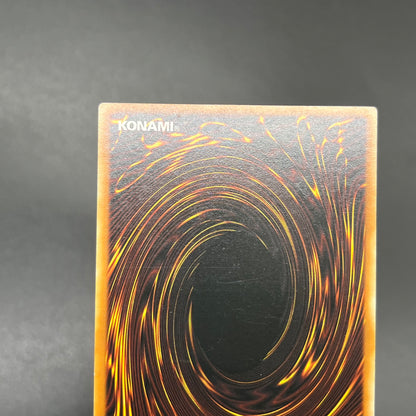 遊戯王　正統なる血統/レリーフ/イタリア語/1st/EU版