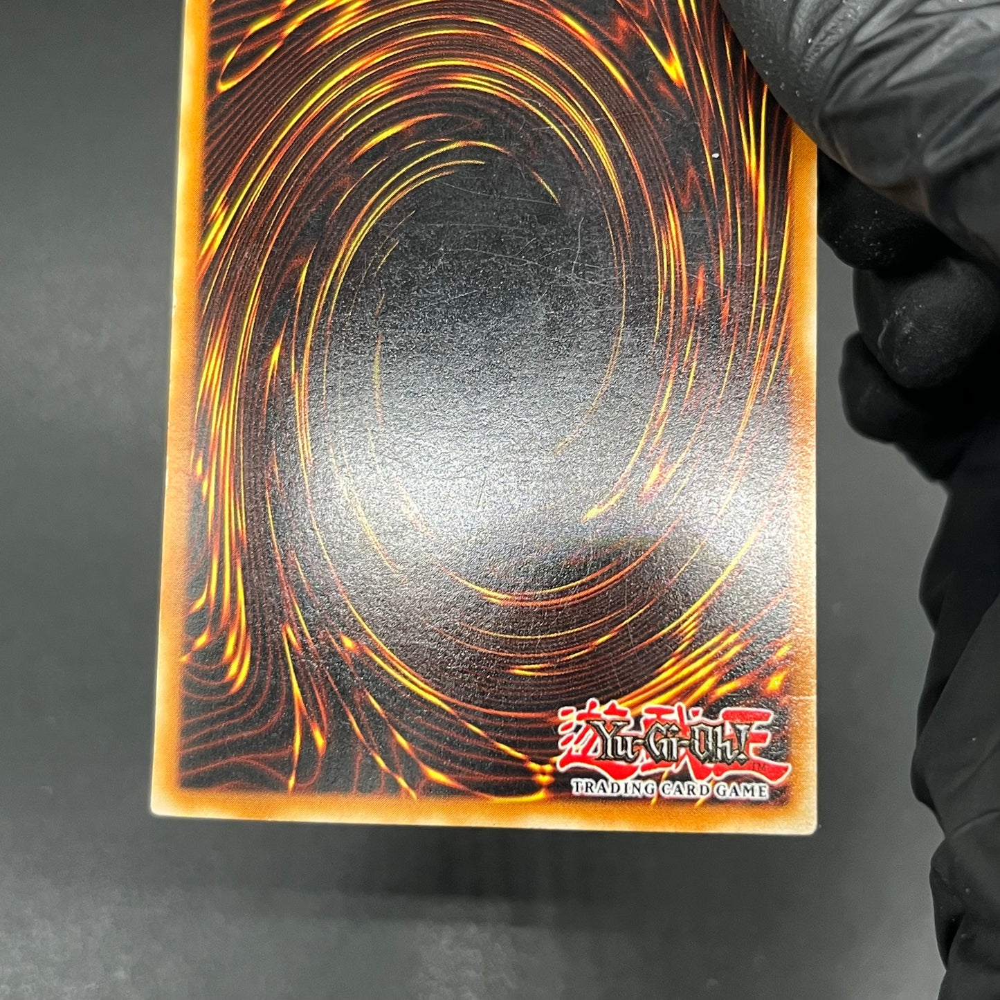 遊戯王　ホーリー・ナイト・ドラゴン/シークレット/英語