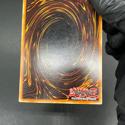 遊戯王　ホーリー・ナイト・ドラゴン/シークレット/英語