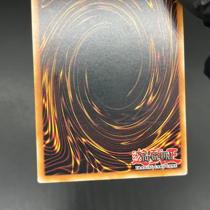 遊戯王　Ｎｏ.５３ 偽骸神 Ｈｅａｒｔ－ｅａｒｔＨ/レリーフ/ドイツ語/1st/EU版