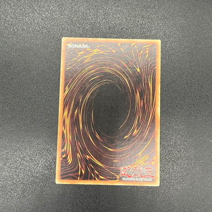 遊戯王　スプレンディッド・ローズ/レリーフ/イタリア語/EU版