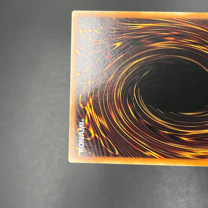 遊戯王　ファイヤー・ウォール/レリーフ/ドイツ語/EU版