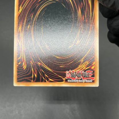 遊戯王　ブルーアイズ・トゥーン・ドラゴン/シークレット/英語/EU版