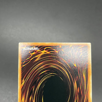 遊戯王　ゲート・ガーディアン/コレクターズレア/英語/1st/EU版