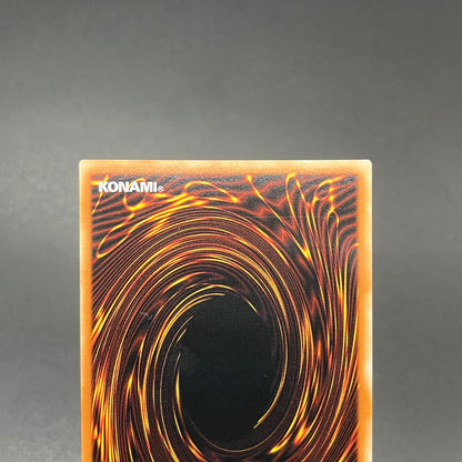 遊戯王　エレメンタル・アブソーバー/レリーフ/スペイン語/1st/EU版