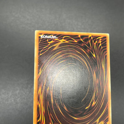 遊戯王　異次元の落とし穴/レリーフ/ドイツ語/EU版