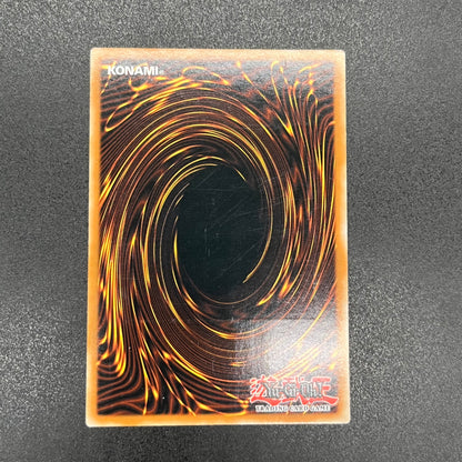 遊戯王　エレメンタル・アブソーバー/レリーフ/スペイン語/1st/EU版