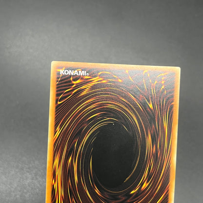 遊戯王　お家おとりつぶし/レリーフ/ドイツ語/1st/EU版