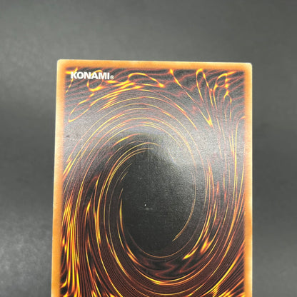 遊戯王　Ｄ・Ｄ・Ｍ/レリーフ/ドイツ語/EU版