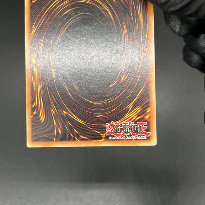 遊戯王　漆黒の魔王 ＬＶ８/レリーフ/ドイツ語/1st/EU